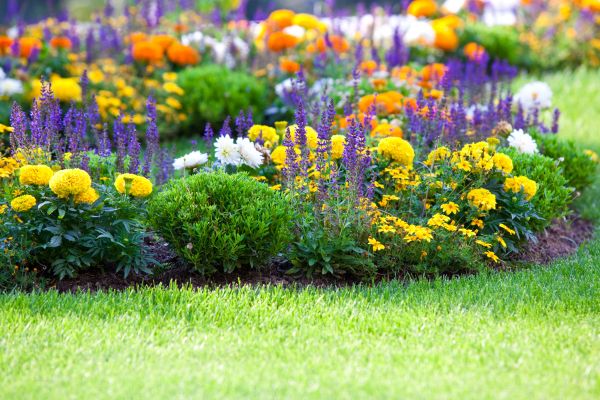 Flower Bed Maintenance in Hudson