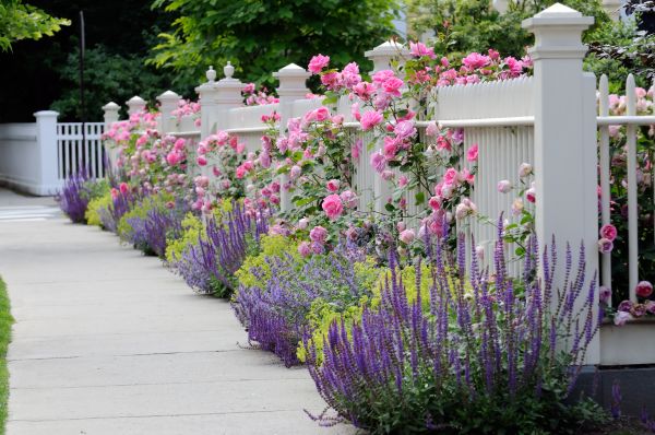 Garden Handyman Service in Hudson
