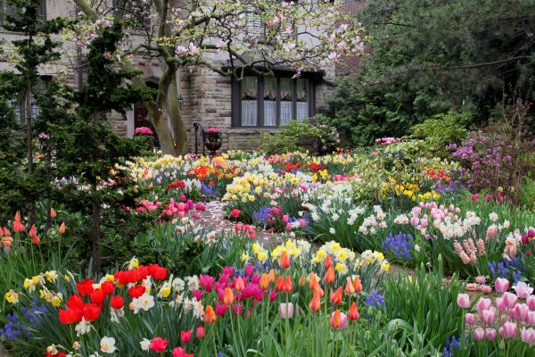 Garden Maintenance Service in Hudson