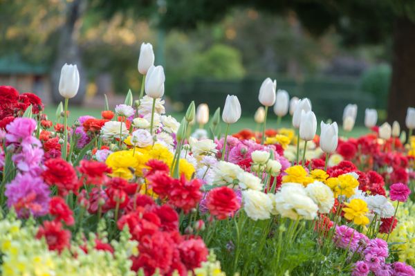Gardening Service in Hudson