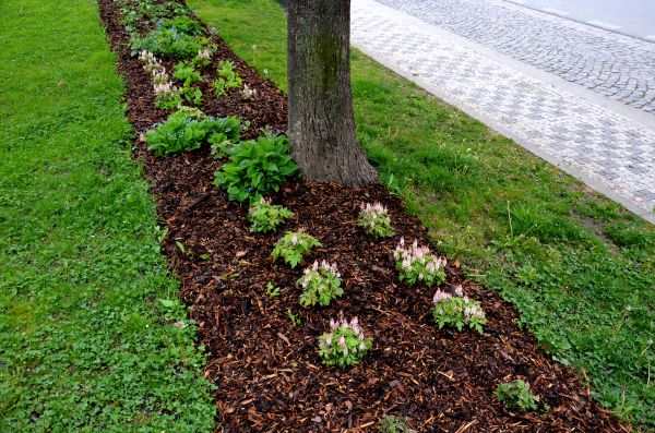 Mulch Replacement Service in Hudson