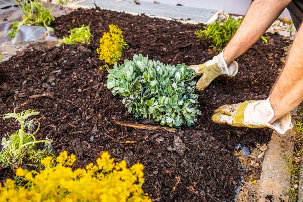 Weeding And Mulching in Hudson