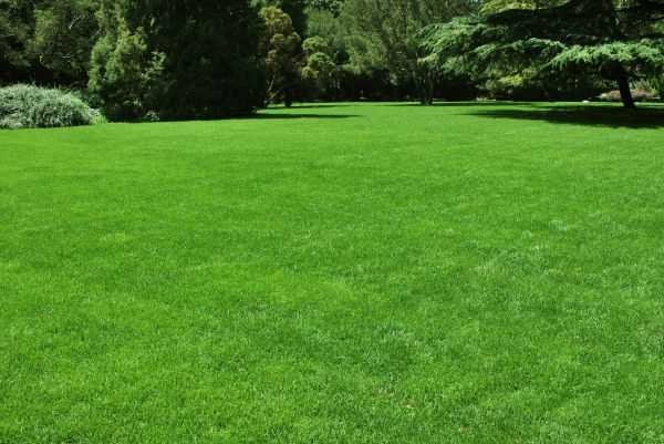 Lawn Landscaping in Hudson