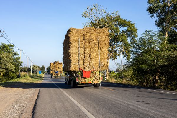 Pine Straw Delivery in Hudson