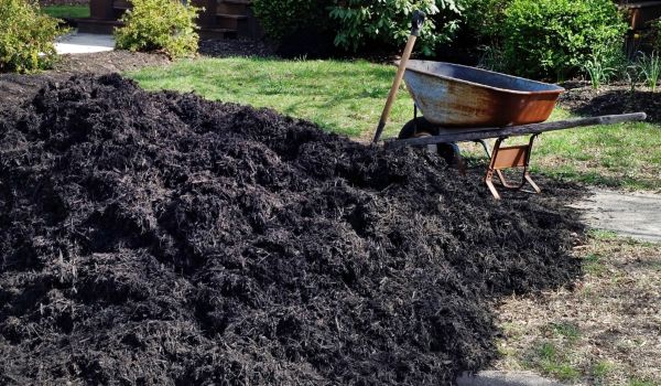Black Mulch Delivery in Hudson