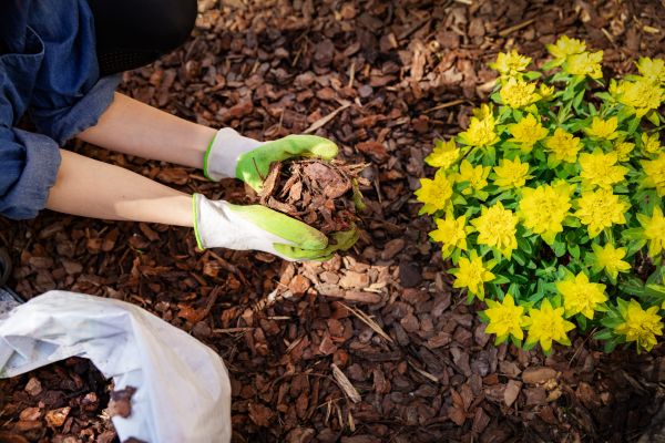 Garden Mulching in Hudson