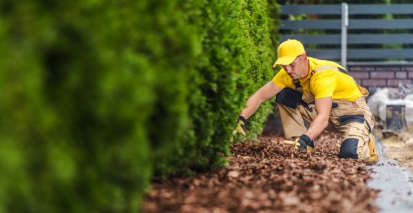 Cypress Mulch Installation in Hudson