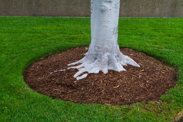 Brown Mulch Installation in Hudson