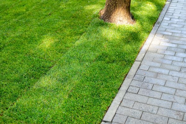 Border Stone Installation in Hudson