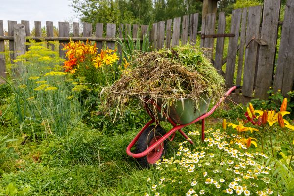 Garden Cleanup Service in Hudson