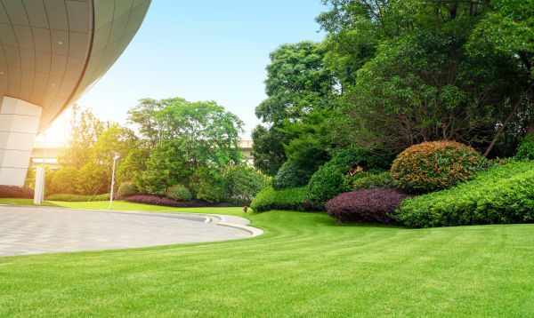Business Landscape Design in Hudson