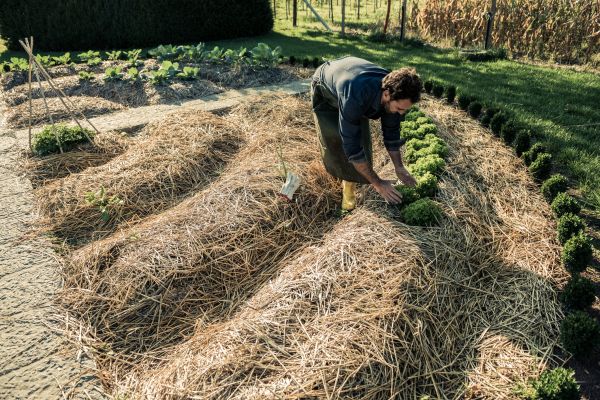 Straw Mulching Service in Hudson