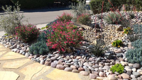 Xeriscape Landscaping in Hudson