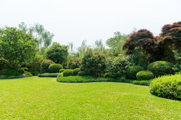 Tree Landscaping in Hudson