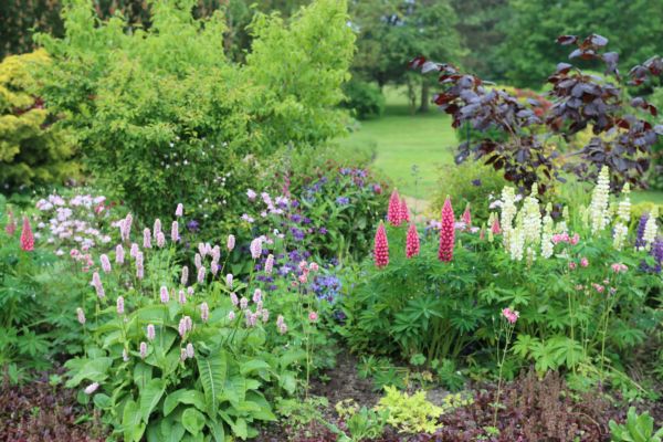Flower Bed Planting in Hudson