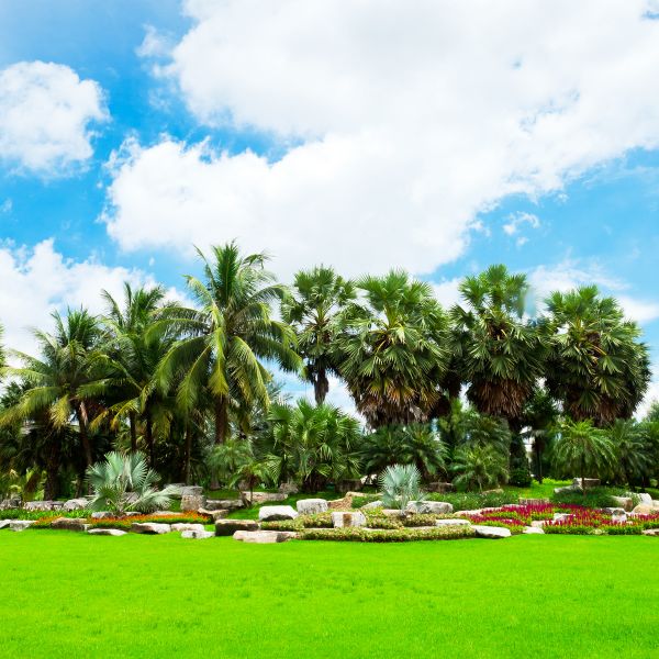 Tropical Landscaping in Hudson