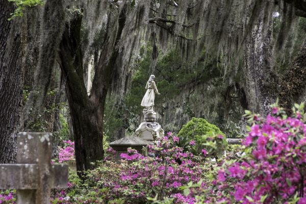 Cemetery Landscaping in Hudson