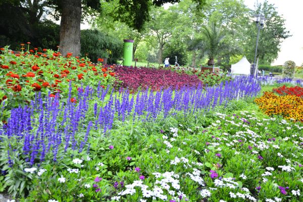 Perennials Planting in Hudson