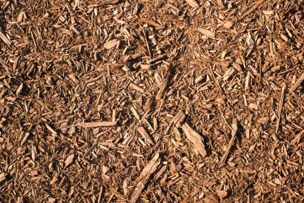 Wood Chips Removal in Hudson