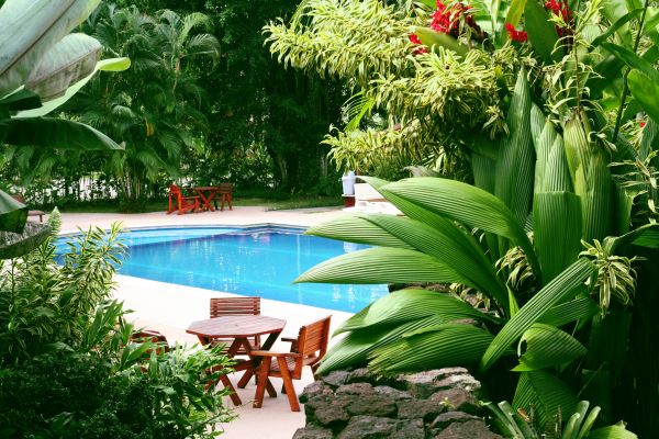 Pool Area Landscaping in Hudson