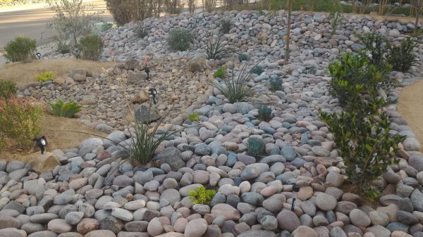 Yard Xeriscaping in Hudson