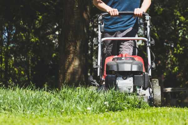 Garden Trimming Service in Hudson