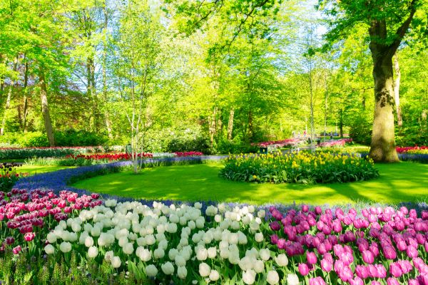 Flower Landscaping in Hudson