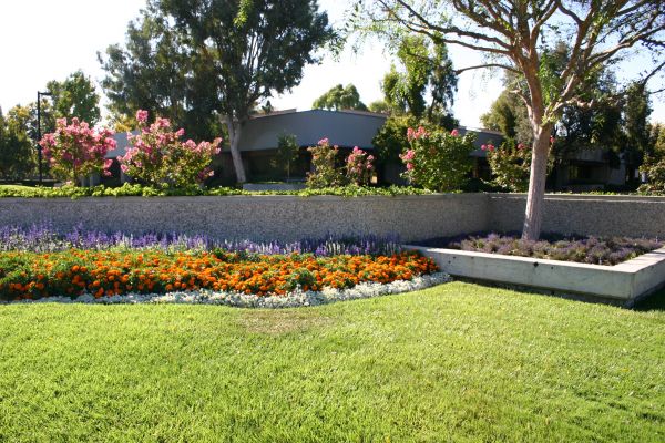 Commercial Landscape Service in Hudson