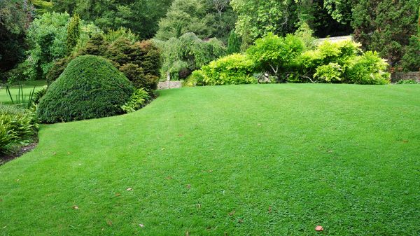 Commercial Landscape Design in Hudson