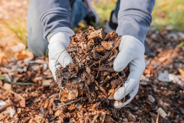 Shredded Mulch Installation in Hudson