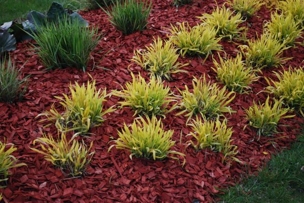 Red Mulch Installation in Hudson