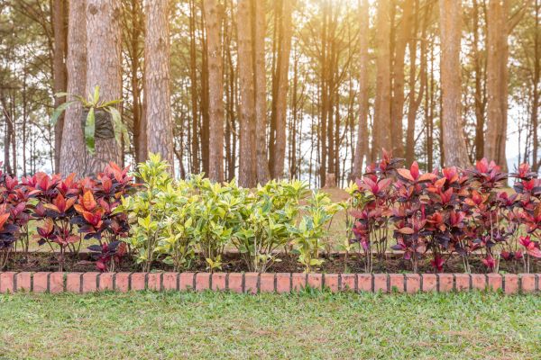 Small Garden Landscaping in Hudson