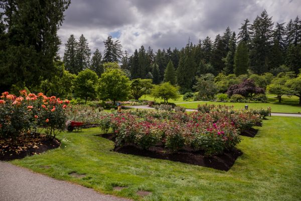 Flower Garden Landscaping in Hudson